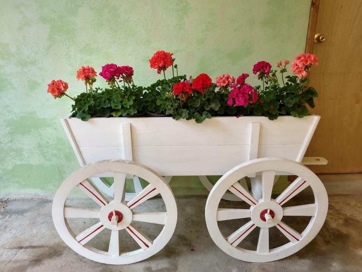 El Paraiso De Zacatlan Departamento Con Jardin, 11 Pax エクステリア 写真