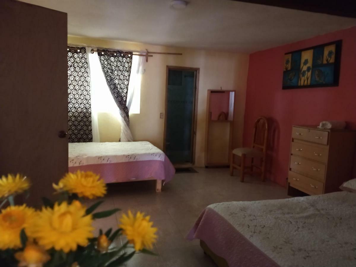El Paraiso De Zacatlan Departamento Con Jardin, 11 Pax エクステリア 写真